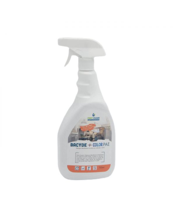 NETTOYANT DESINFECTANT SURF PAE  - CARTON DE 6 X 750 ML