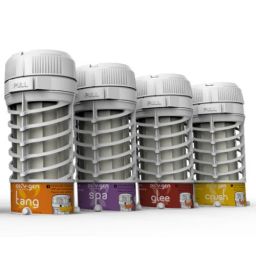 RECHARGE VIVA POMME EPICE