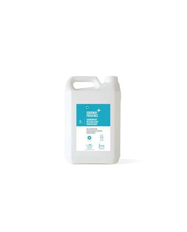 ECRAN URINOIR PARFUM MANGUE - CARTON DE 10