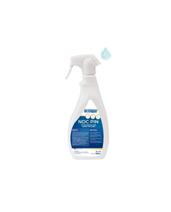 SPRAY DESINFECTANT PAE SR - FLACON DE 750 ML