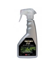 SPRAY SURODORANT SENSUAL JACYNTHE VERTE 750ML