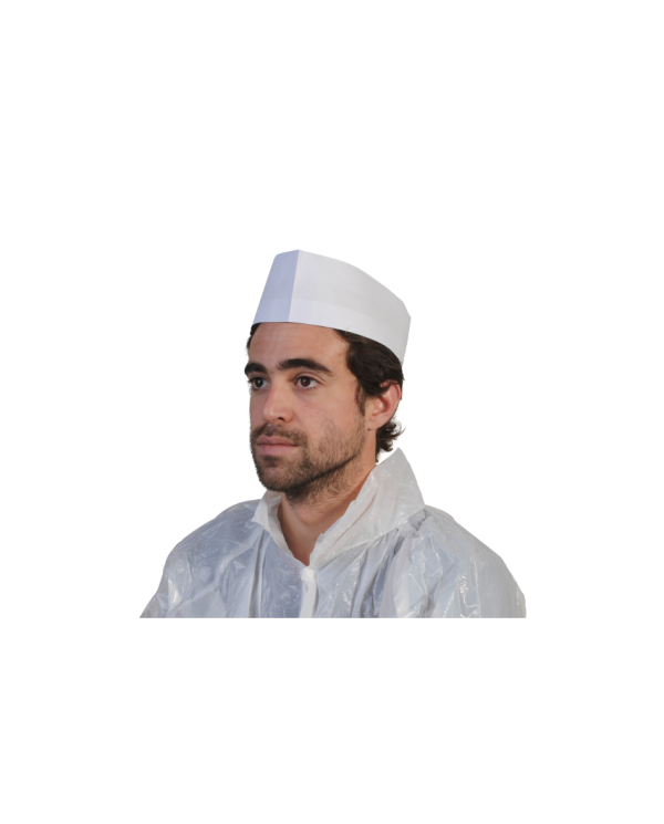 FILET CHEVEUX CART DE 100